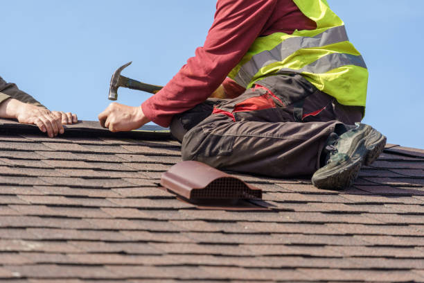 Best Roof Gutter Cleaning  in Meadview, AZ